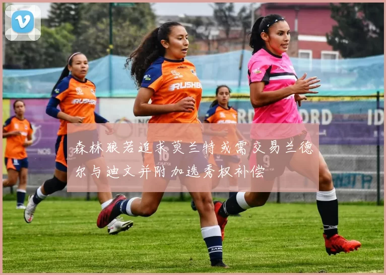 森林狼若追求莫兰特或需交易兰德尔与迪文并附加选秀权补偿